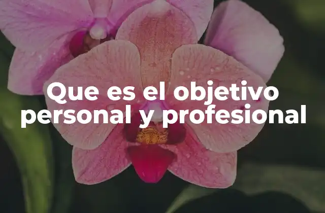 Que es el Objetivo Personal y Profesional