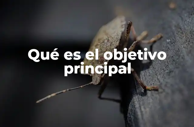 Qué es el Objetivo Principal