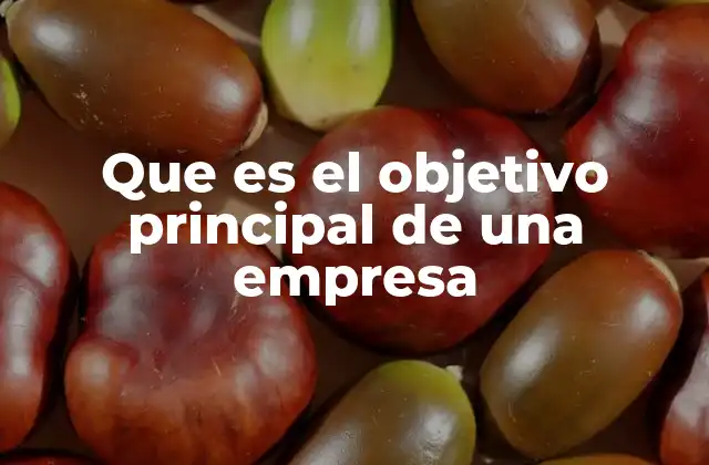 Que es el Objetivo Principal de una Empresa