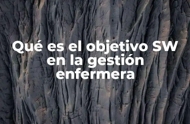 Qué es el Objetivo Sw en la Gestión Enfermera