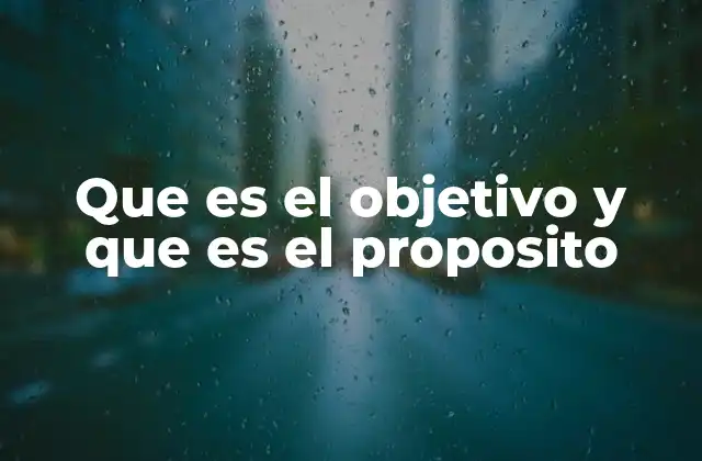 Que es el Objetivo y que es el Proposito 2 La relación entre el objetivo y el propósito