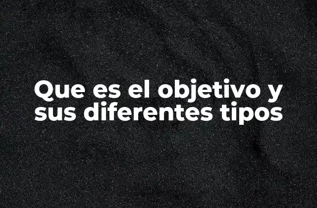 Que es el Objetivo y Sus Diferentes Tipos