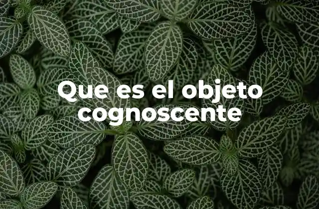 El rol del objeto cognoscente en la teoría del conocimiento