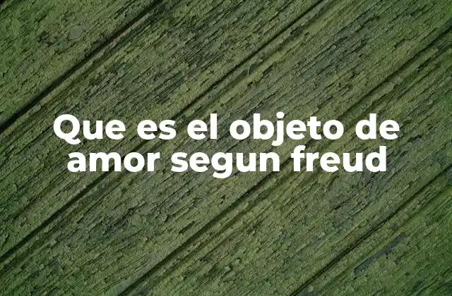 Que es el Objeto de Amor Segun Freud