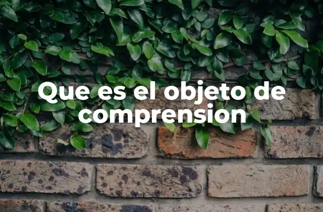 Que es el Objeto de Comprension
