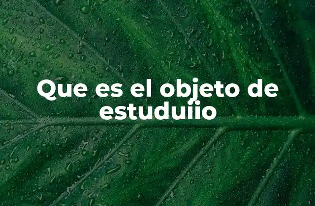 Que es el Objeto de Estuduiio
