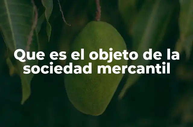Que es el Objeto de la Sociedad Mercantil