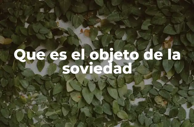 Que es el Objeto de la Soviedad