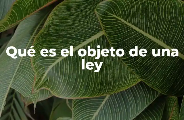 Qué es el Objeto de una Ley
