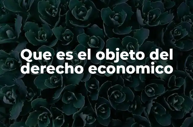 Que es el Objeto Del Derecho Economico