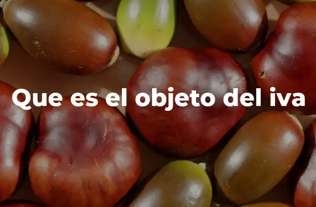 Que es el Objeto Del Iva 2 El alcance del IVA en la economía