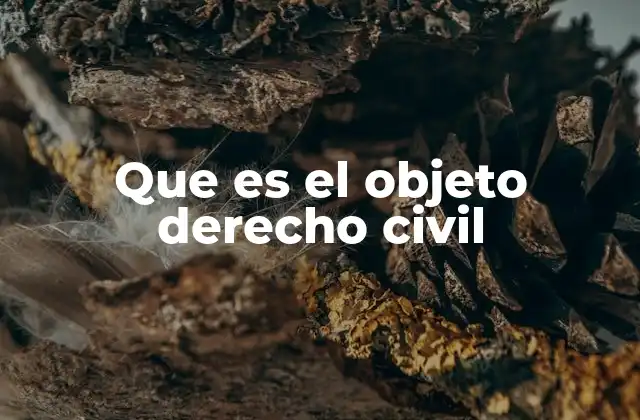 El alcance del derecho civil en la vida cotidiana
