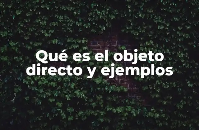 El rol del objeto directo en la construcción gramatical