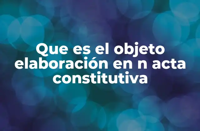 Que es el Objeto Elaboración en N Acta Constitutiva