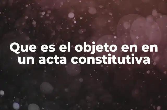 Que es el Objeto en en un Acta Constitutiva
