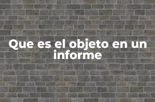 Que es el Objeto en un Informe