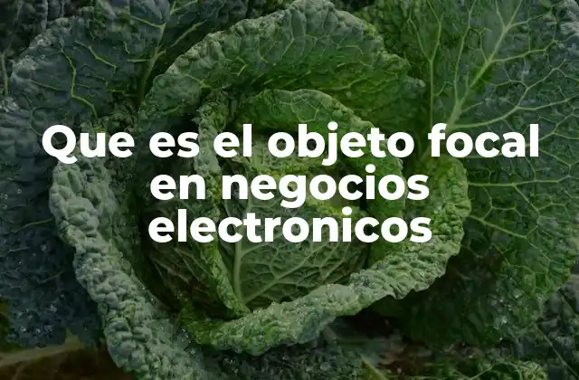 Que es el Objeto Focal en Negocios Electronicos