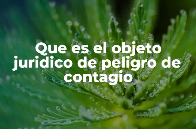 Que es el Objeto Juridico de Peligro de Contagio