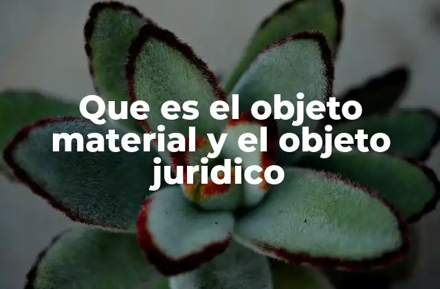 Que es el Objeto Material y el Objeto Juridico