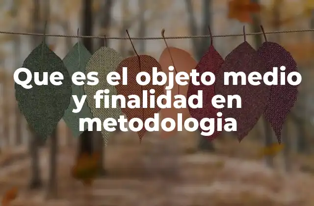 Que es el Objeto Medio y Finalidad en Metodologia
