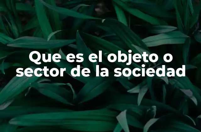Que es el Objeto o Sector de la Sociedad 2 La importancia de identificar el sector social en las políticas públicas