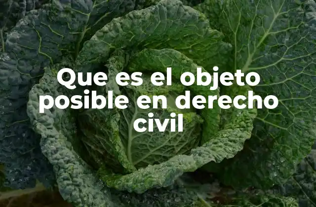 Que es el Objeto Posible en Derecho Civil