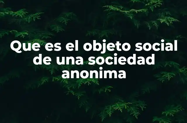 La importancia del objeto social en la estructura de una sociedad anónima