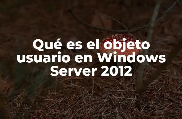 Qué es el Objeto Usuario en Windows Server 2012