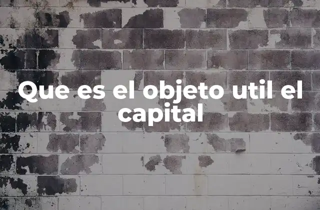 Que es el Objeto Util el Capital