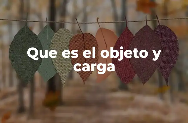 Que es el Objeto y Carga