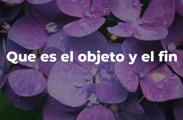 Que es el Objeto y el Fin