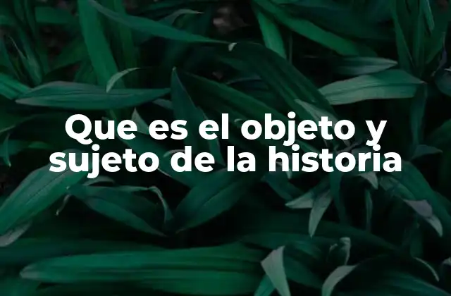 Que es el Objeto y Sujeto de la Historia