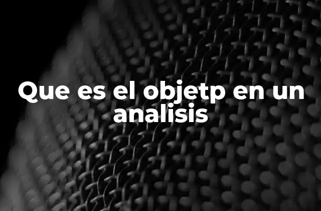 Que es el Objetp en un Analisis