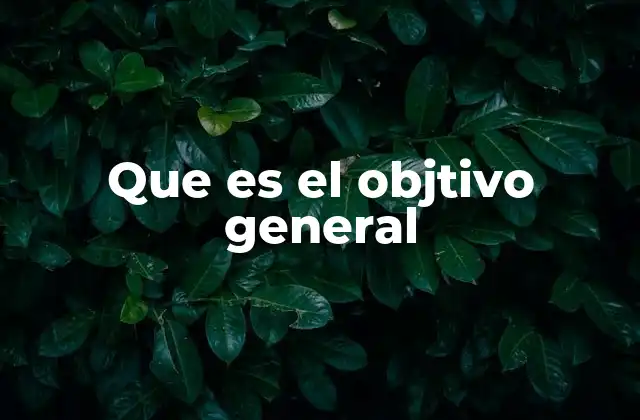 Que es el Objtivo General