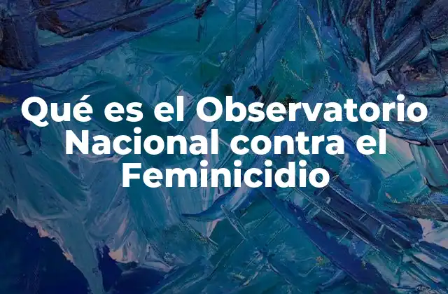 Qué es el Observatorio Nacional contra el Feminicidio