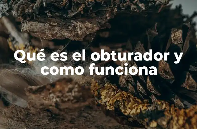 Qué es el Obturador y como Funciona