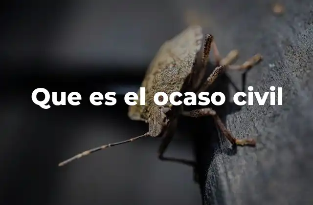 Que es el Ocaso Civil