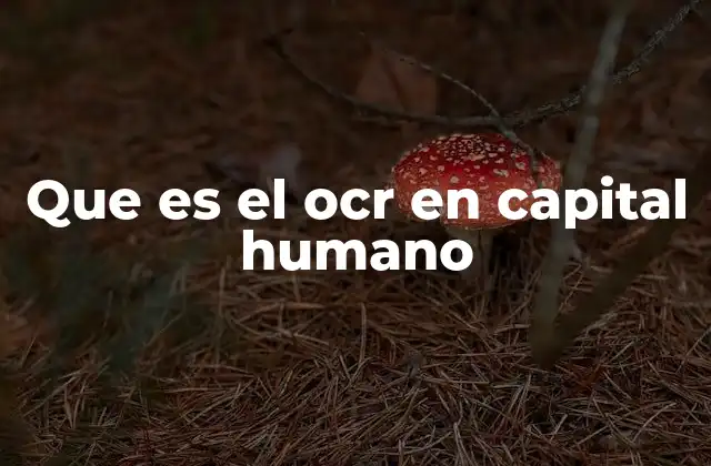 Que es el Ocr en Capital Humano 2 La relación entre capital humano y eficiencia laboral