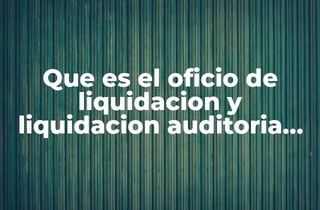 Que es el Oficio de Liquidacion y Liquidacion Auditoria Electronica