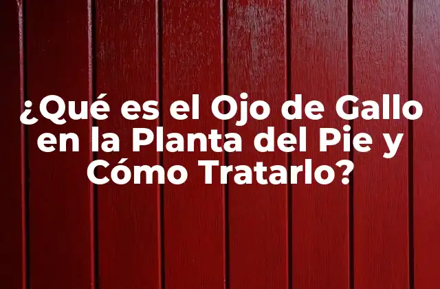 ¿qué es el Ojo de Gallo en la Planta Del Pie y Cómo Tratarlo?