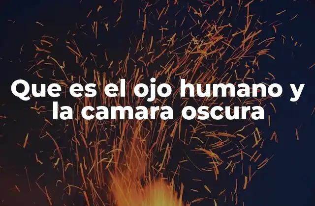 El funcionamiento del ojo humano y su paralelo con la óptica