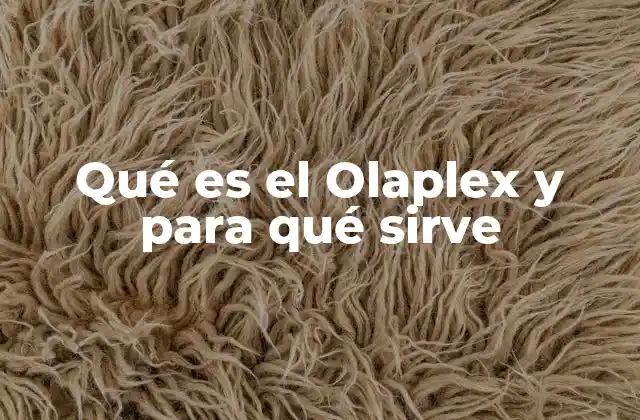 Qué es el Olaplex y para Qué Sirve