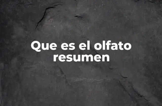 Que es el Olfato Resumen