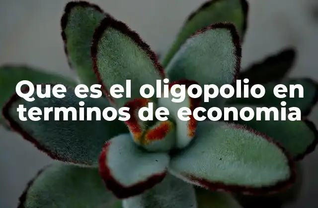 Que es el Oligopolio en Terminos de Economia