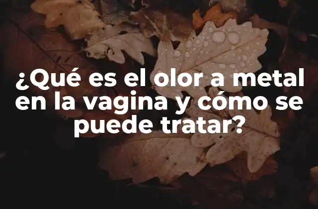 ¿qué es el Olor a Metal en la Vagina y Cómo Se Puede Tratar?
