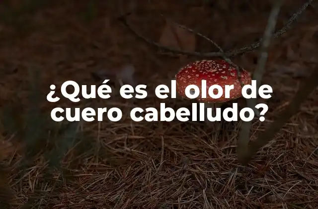 ¿qué es el Olor de Cuero Cabelludo?