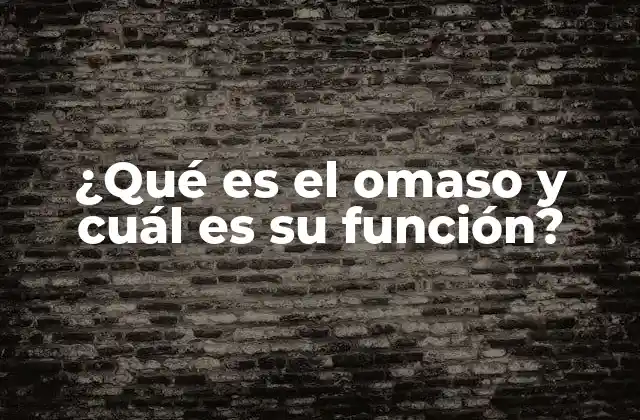 El omaso como pieza clave del sistema digestivo de los rumiantes