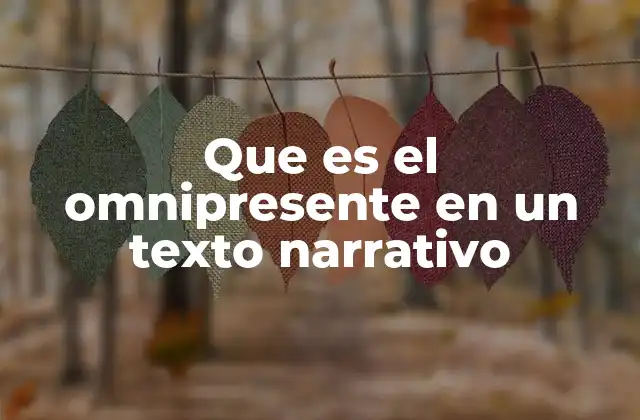 Que es el Omnipresente en un Texto Narrativo