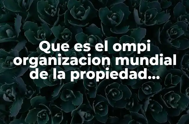 Que es el Ompi Organizacion Mundial de la Propiedad Intelectual