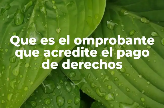 Que es el Omprobante que Acredite el Pago de Derechos